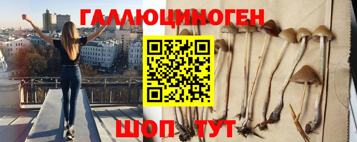 Галлюциногенные грибы ЛСД Железногорск
