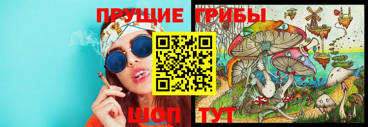 Псилоцибиновые грибы GOLDEN TEACHER  Галлюциногенные грибы ЛСД  Вход с VPN  закладки  Железногорск 
